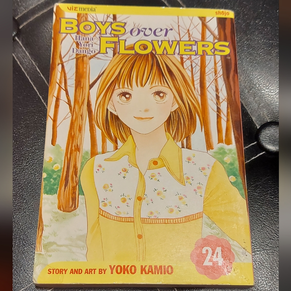 Boys Over Flowers vol. 24